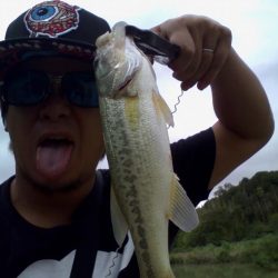 ノーシンカーリグ